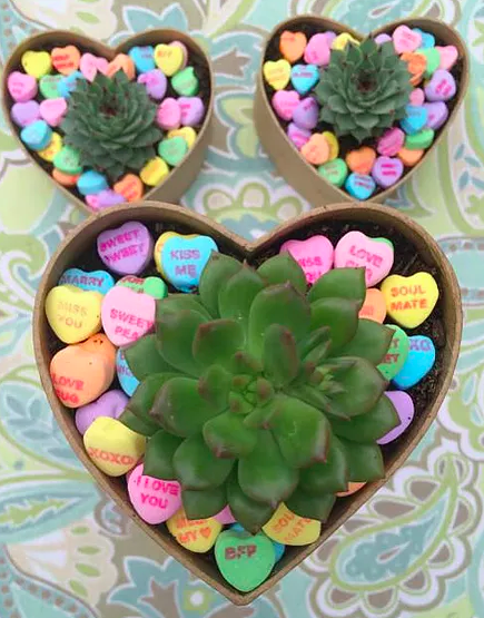 Screen Shot 2017-03-18 at 6.54.04 PM