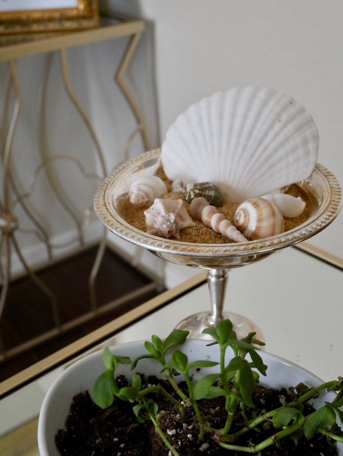 Side Table Shell Centerpiece Tall