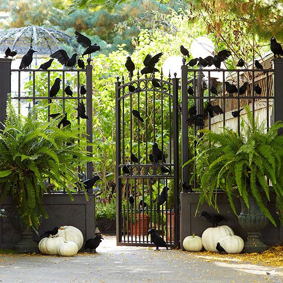 Pretty Outdoor Halloween Decor {Details Blog}