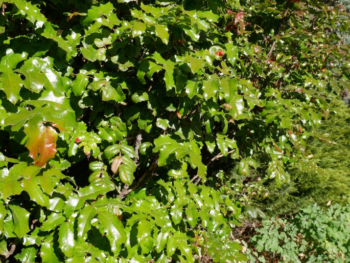 Northern Arizona Fall {Details Blog}