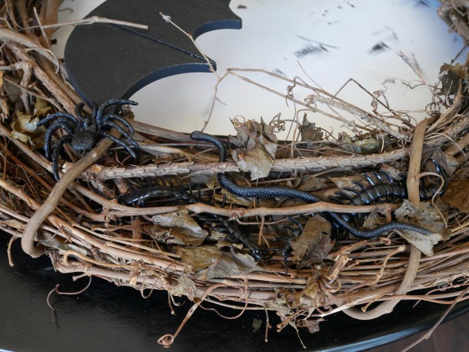 DIY Creepy Crawly Halloween Wreath {Details Blog}