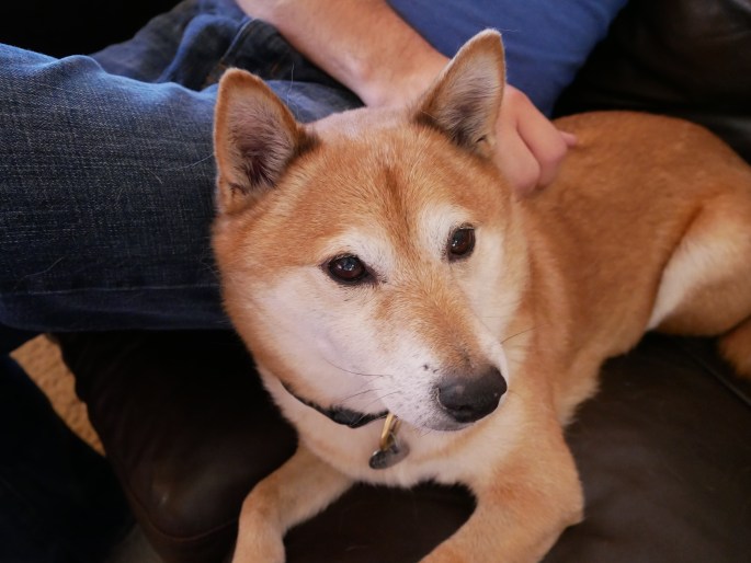 A Belated Family Thanksgiving {Details Blog}