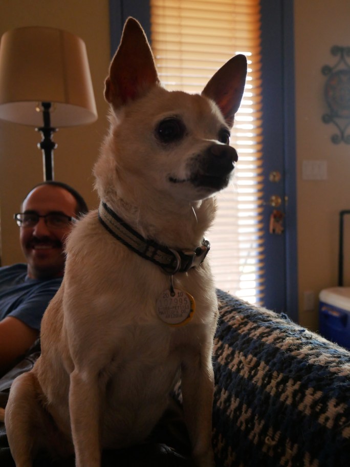 A Belated Family Thanksgiving {Details Blog}