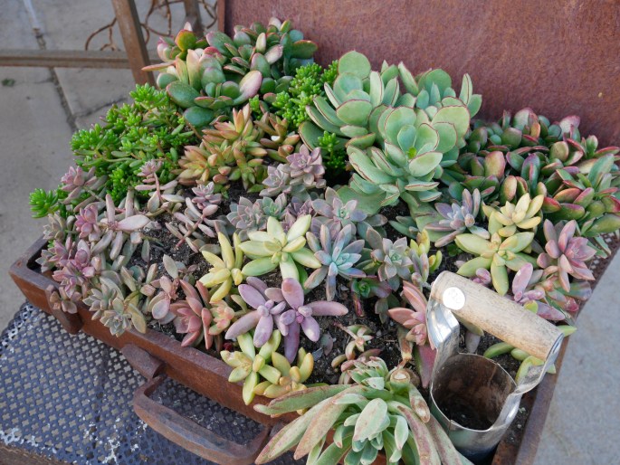 Sweet Salvage: Green Acres {Details Blog}