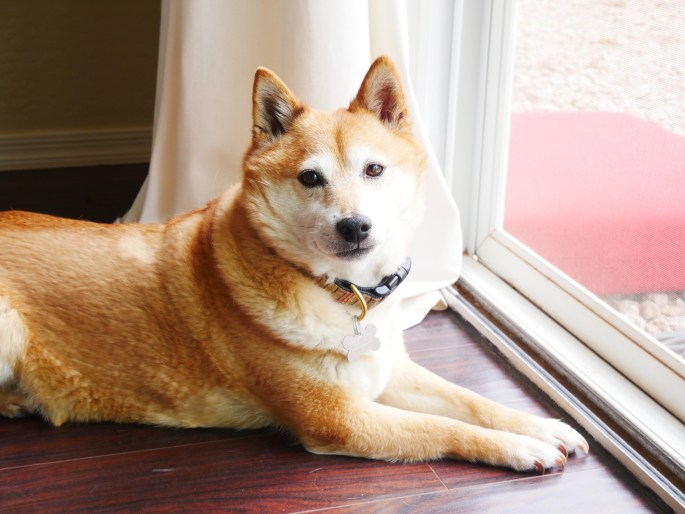 Catching Up {Details Blog}