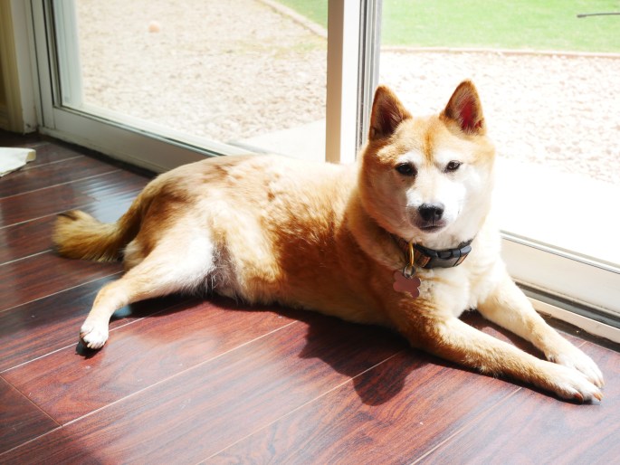 Design Trick For On-the-Go {Details Blog}