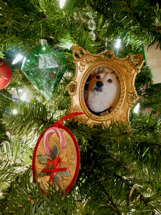 Happy New Year! + Our Christmas House {Details Blog}