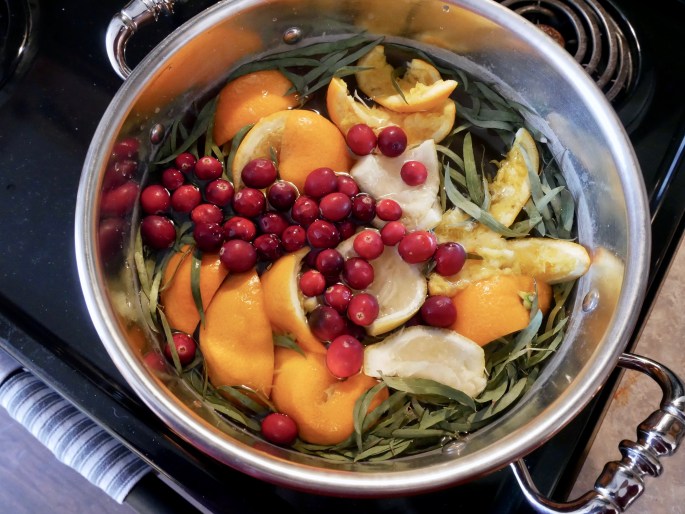 DIY Cleansing Stovetop Scent {Details Blog}