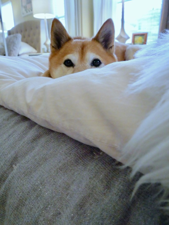 A Bedroom Design Evolution Story {Details Blog}