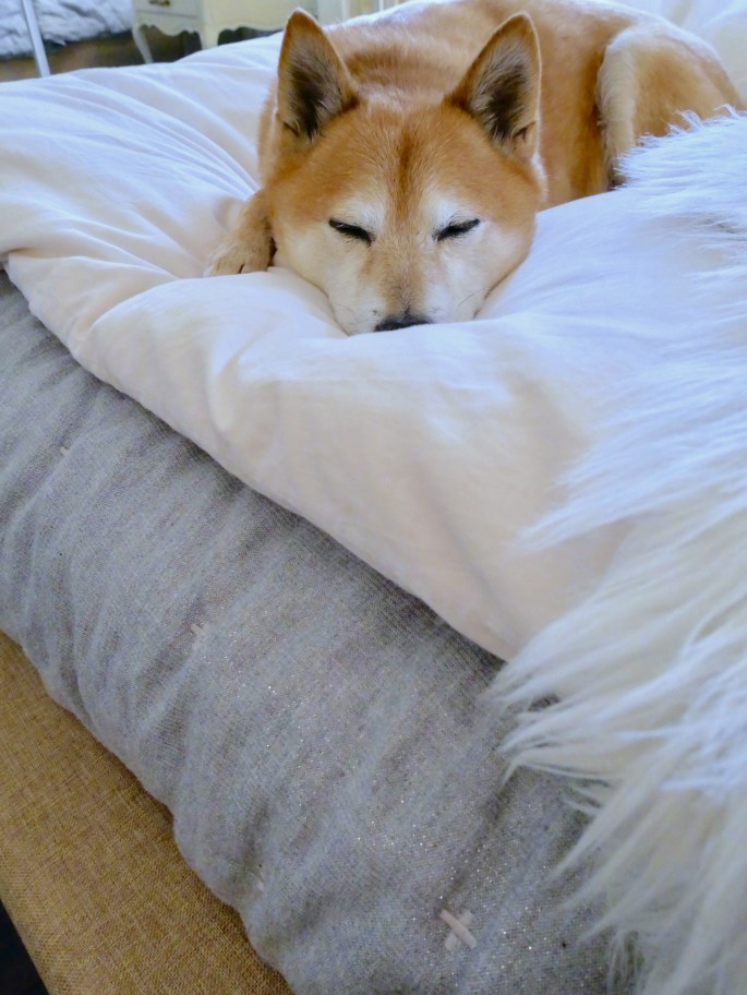 A Bedroom Design Evolution Story {Details Blog}