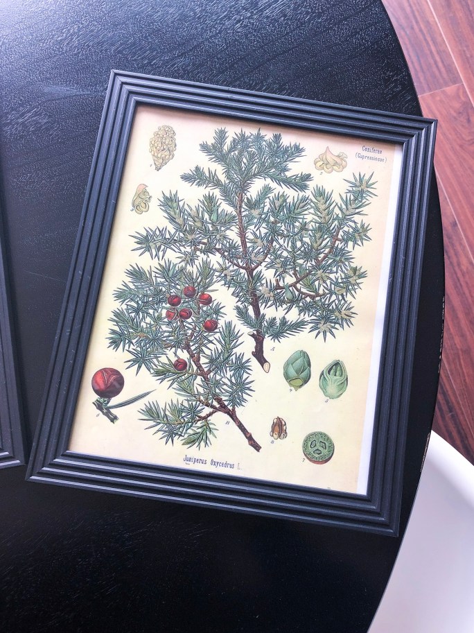 Goodwill Art Upgrade {Details Blog}
